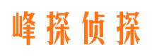 泾川婚外情取证